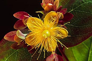 PlayStation中国：PS VR2国行版积极引进中